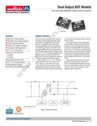 BST-12/125-D12-C Datasheet Cover