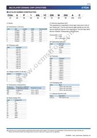 CGA4C4NP02W391J060AA Datasheet Page 4