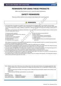 CGA6P3X8R1C106K250AE Datasheet Page 2