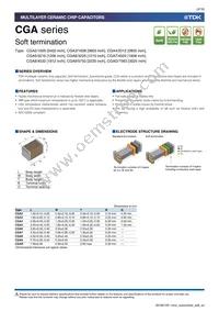 CGA6P3X8R1C106K250AE Datasheet Page 3