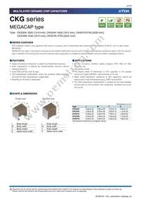 CKG57NX7R1E107M500JJ Datasheet Page 3