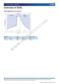 CS45-E2GA332M-VKA Datasheet Page 5