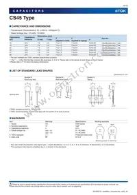 CS45-E2GA332M-VKA Datasheet Page 6