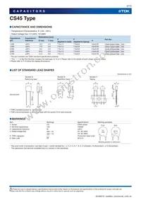 CS45-E2GA332M-VKA Datasheet Page 8