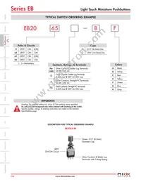 EB2061-E-J43AEF Datasheet Page 3