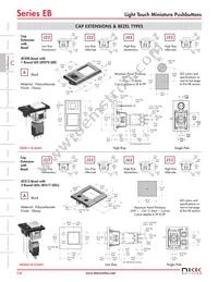 EB2061-E-J43AEF Datasheet Page 11