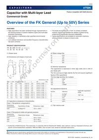 FK28X7R1H102KNE06 Datasheet Page 2