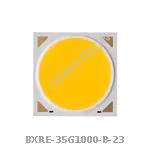 BXRE-35G1000-B-23