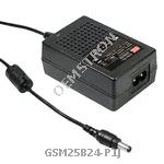 GSM25B24-P1J