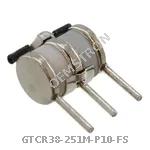 GTCR38-251M-P10-FS