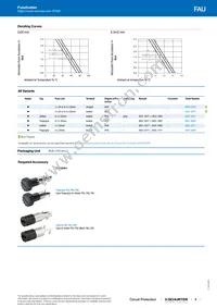 0031.3584 Datasheet Page 3