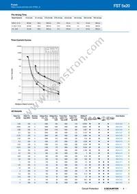 0034.3117.G Datasheet Page 3