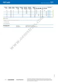 0034.3117.G Datasheet Page 4