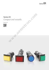 01-435.036 Datasheet Cover