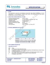 0201BB103K160YT Datasheet Cover