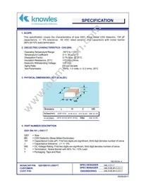 0201BN101J500YT Datasheet Cover