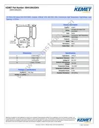 05HV10N102KN Datasheet Cover