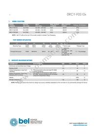0RCY-F0S10BG Datasheet Page 2