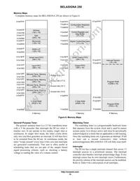 0W888-002-XTP Datasheet Page 19