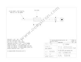 101BH1K Datasheet Cover