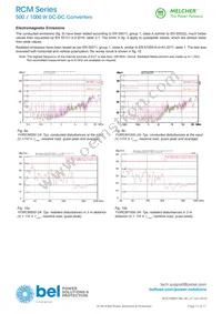 110RCM1000-24 Datasheet Page 12