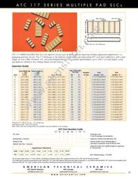 118EGA101M100TT Datasheet Page 15