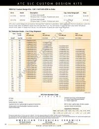 118EGA101M100TT Datasheet Page 16