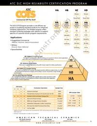 118EGA101M100TT Datasheet Page 17