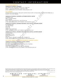 118EGA101M100TT Datasheet Page 18