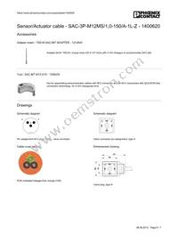 1400620 Datasheet Page 6