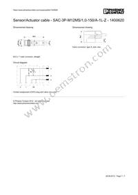 1400620 Datasheet Page 7