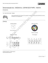 1405733 Datasheet Page 7