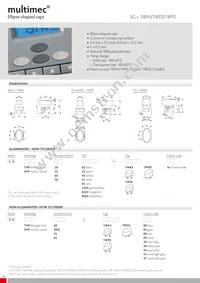 15551 Datasheet Page 18