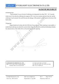16-216/Y5C-BL2N1BY/3T Datasheet Page 10