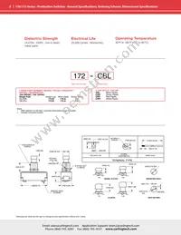 172-A-CRD Datasheet Page 2