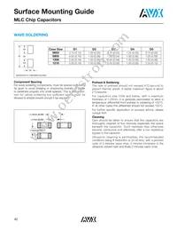 18125G155ZAT2A Datasheet Page 20