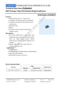 19-013/G6SC-AN1P2B/3T Datasheet Cover