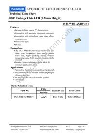 19-21/W1D-ANPHY/3T Datasheet Cover