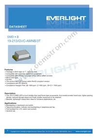 19-213/GVC-AMNB/3T Cover