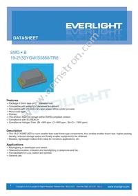 19-213SYGW/S5888/TR8 Cover