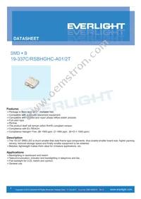 19-337C/RSBHGHC-A01/2T Cover