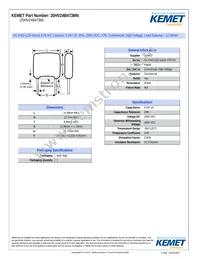 20HV24B473MN Datasheet Cover