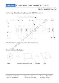 22-23A/R6GTB3C-D01/2C Datasheet Page 10