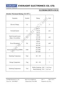 22-23B/R6GTBTW-C01/2C Datasheet Page 3