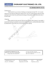 22-23B/R6GTBTW-C01/2C Datasheet Page 13