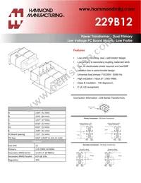 229B12 Datasheet Cover