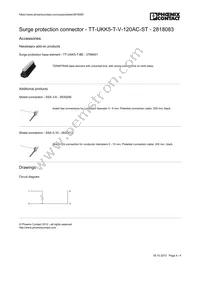 2818083 Datasheet Page 4