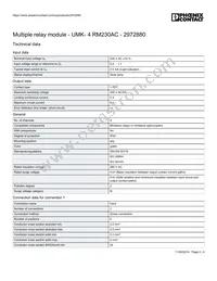 2972880 Datasheet Page 2