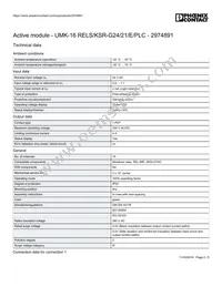 2974891 Datasheet Page 2