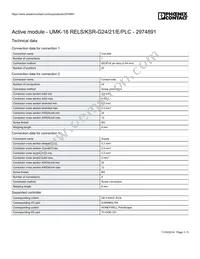 2974891 Datasheet Page 3